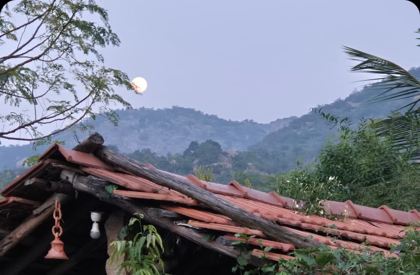 Serene Sunset Watching: End the Day with Nature’s Artistry