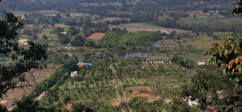 Nature’s Microclimate